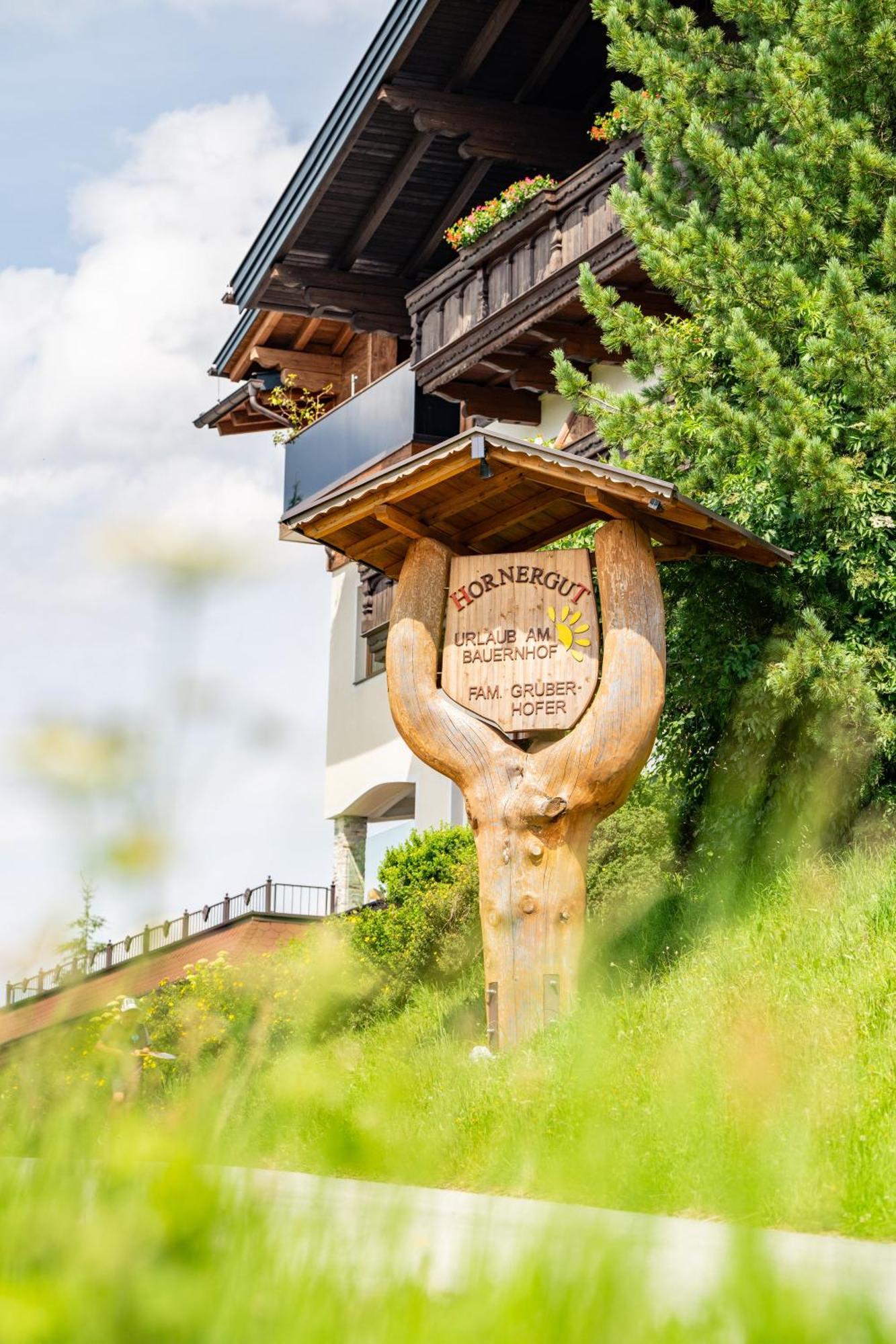 Hornergut Apartment Altenmarkt im Pongau Luaran gambar