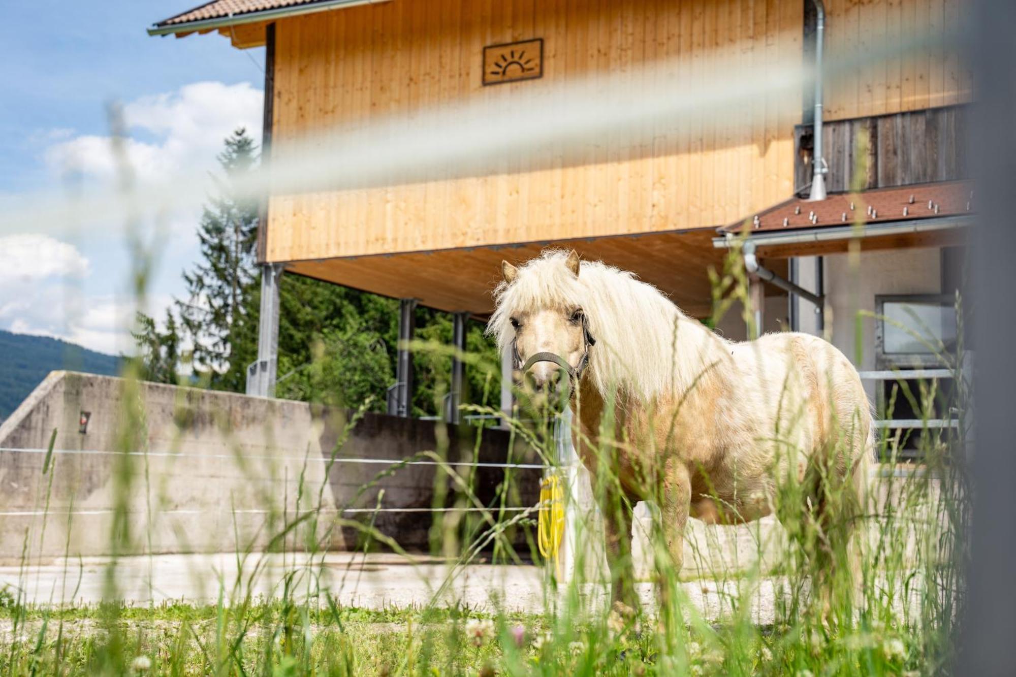Hornergut Apartment Altenmarkt im Pongau Luaran gambar