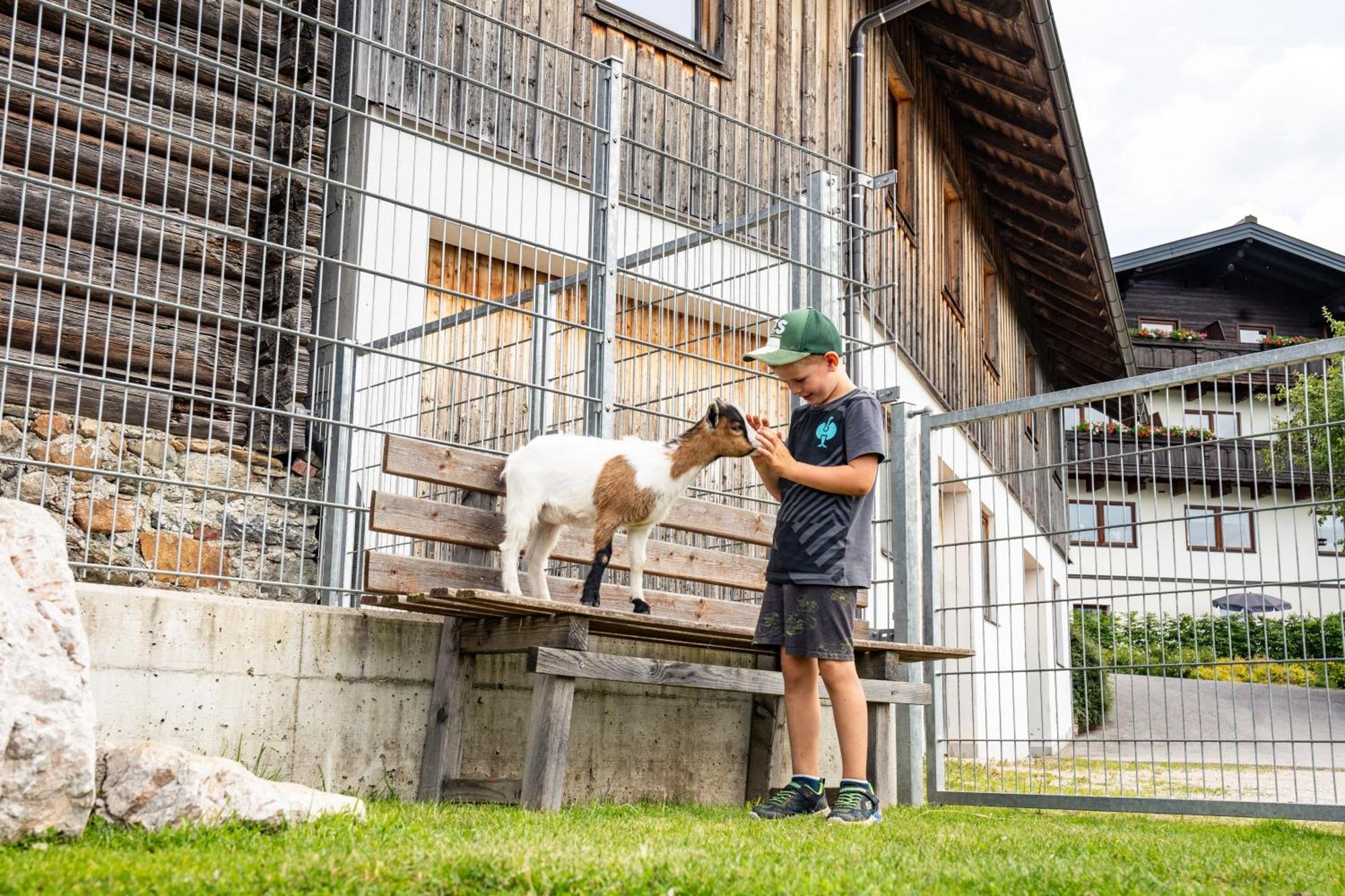 Hornergut Apartment Altenmarkt im Pongau Luaran gambar