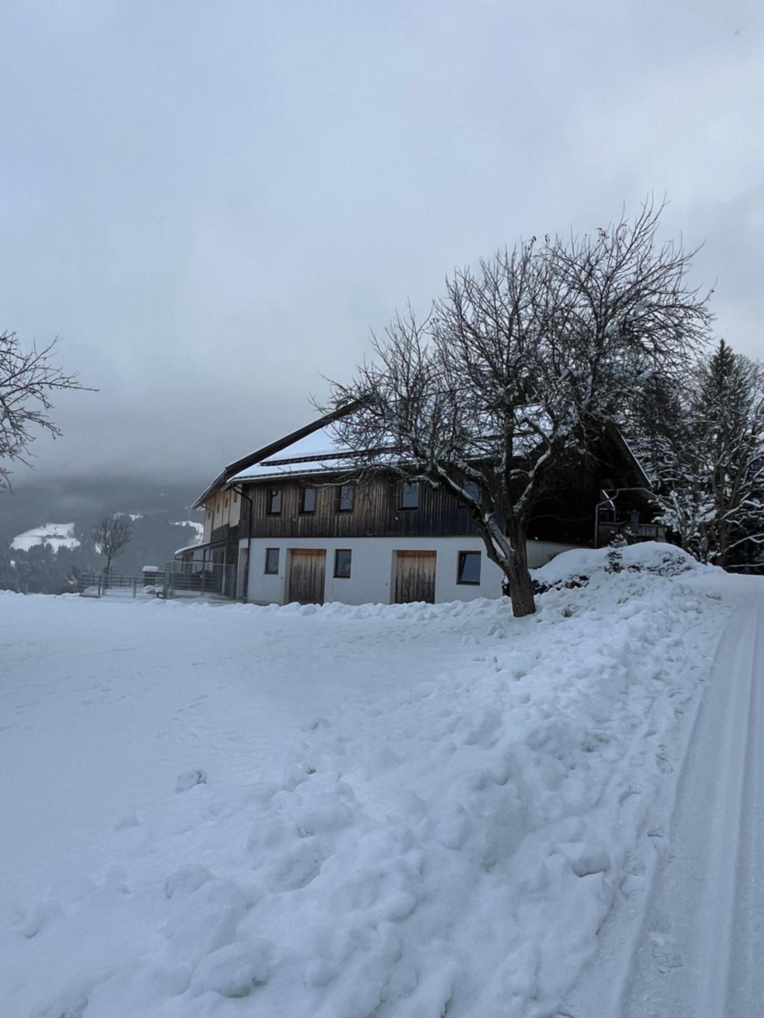 Hornergut Apartment Altenmarkt im Pongau Luaran gambar